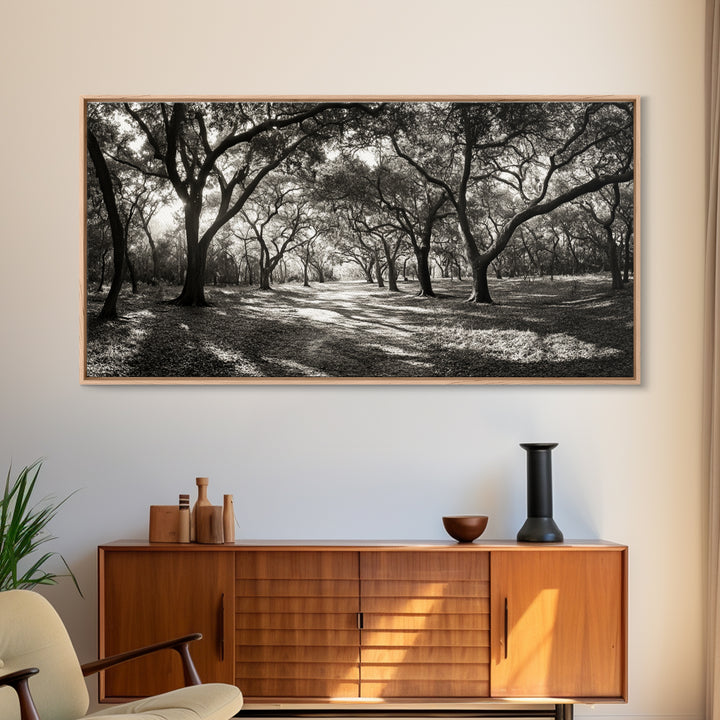 Oak Tree Path, Autumn Forest Glow, Nature Trail Photography, Framed Canvas Print, Hallway Wall Art, Earthy Decor, Woodland Art