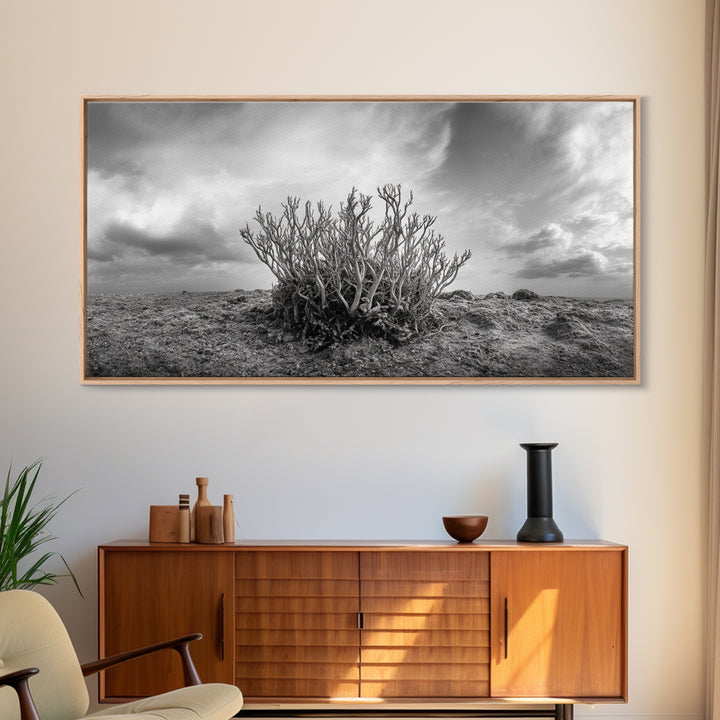 Desert Coral Plant, Dry Earth Botanical, Surreal Nature Texture, Minimal Wild Scene, Canvas Print, Office Wall Art, Earthy Decor