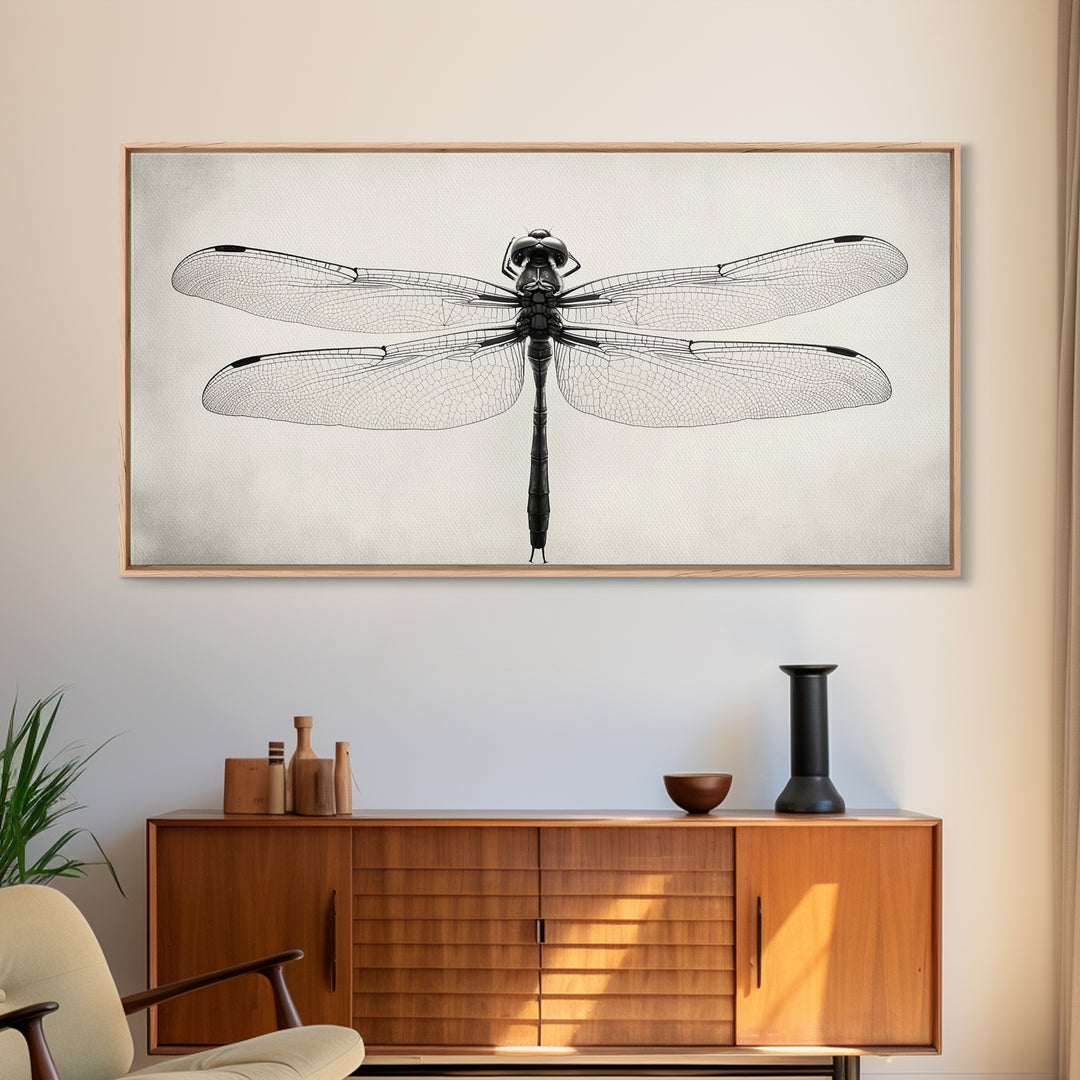Dragonfly Sketch, Insect Art Print, Botanical Illustration, Minimalist Natural History, Framed Canvas Print, Office or Study Wall Art