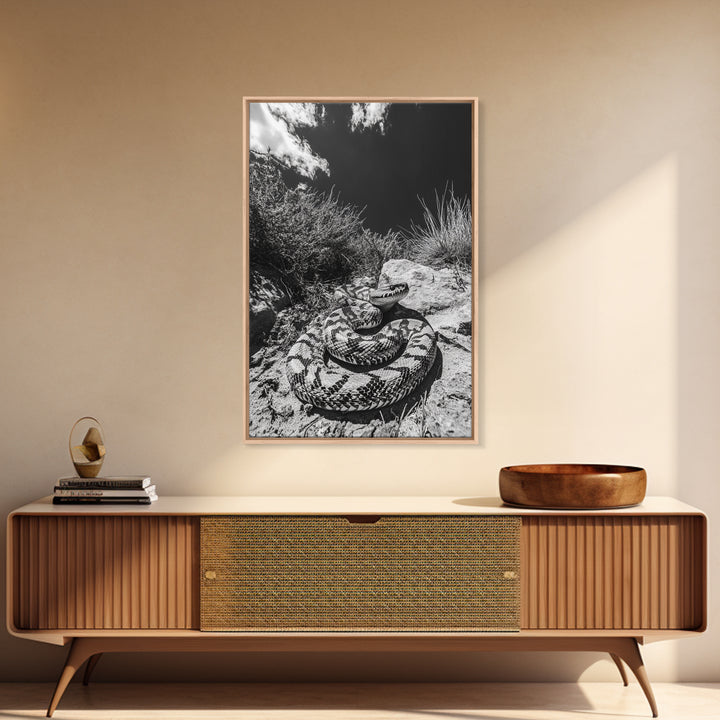 Coiled Snake, Desert Predator, Wild Reptile, Framed Canvas Print, Nature Wildlife Art, Den or Office Decor, Monochrome Animal Photography