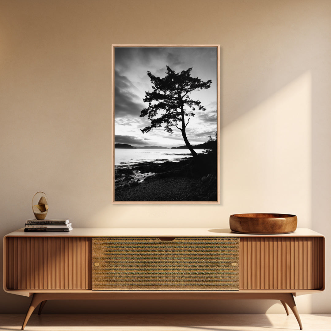 Coastal Tree, Pacific Northwest, Serene Landscape, Monochrome Nature Scene, Framed Canvas Print, Entryway Art, Rustic Cabin Wall Decor