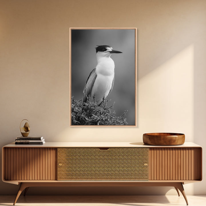 Coastal Bird Portrait, Black White Art, Nature Print, Minimalist Style, Living Room Wall Decor, Framed Canvas Print, Beach House Art
