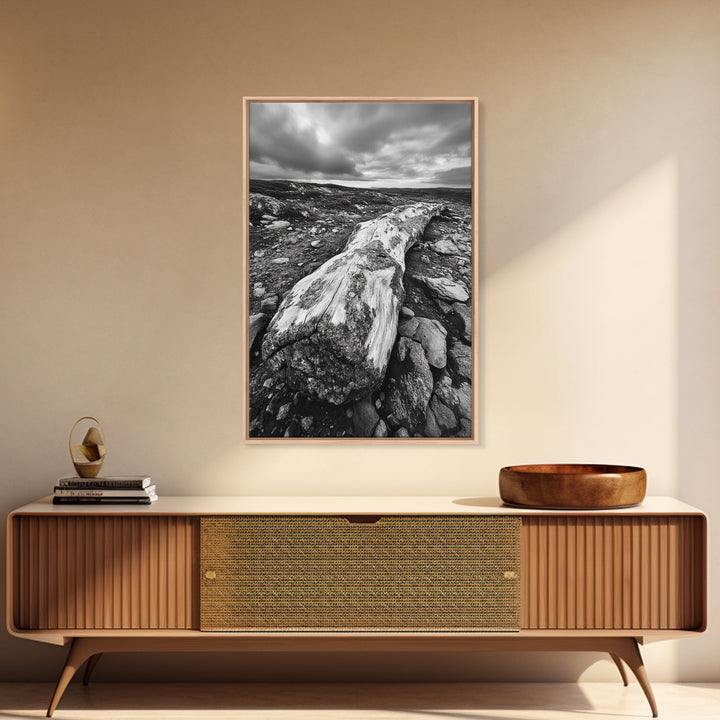 Rocky Terrain Driftwood, Weathered Wood Scene, Outdoor Adventure Art, Modern Rustic Decor, Framed Canvas Print, Earthy Tones Photography