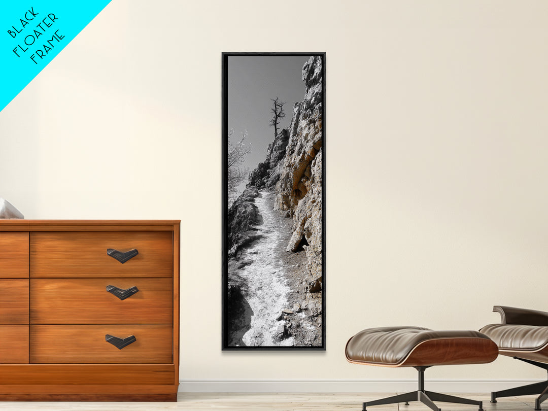 Cliff Pathway Art, Nature Trail Scene, Monochrome Rustic Landscape, Framed Canvas Print, Mountain Cabin Entryway Wall Decor