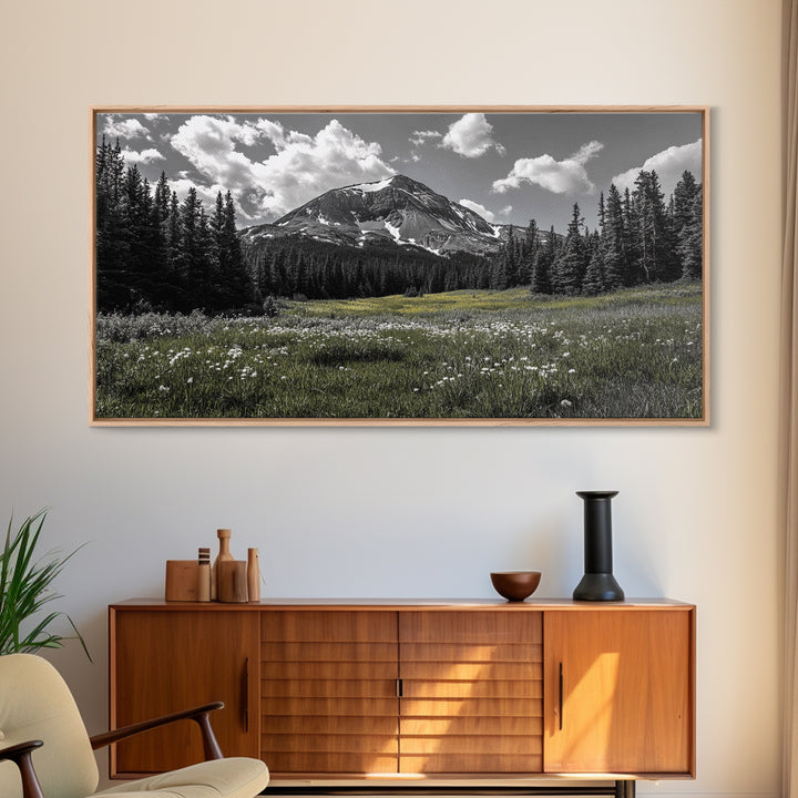 Mountain, Meadow, Wildflowers, Alpine meadow bloom and majestic peak on this Framed Canvas Print, serene Nature Wall Art for Entryway