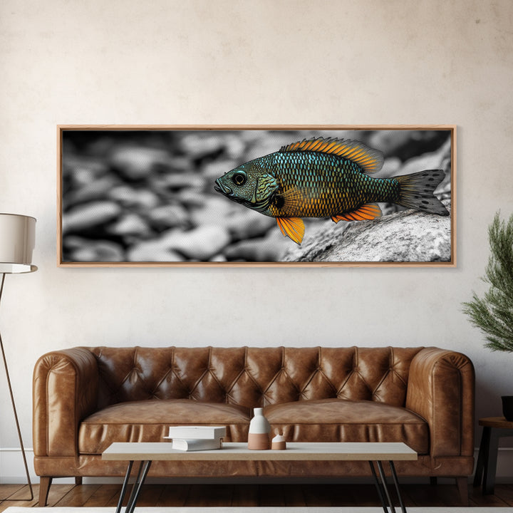Colorful Fish Closeup, Underwater Art, Nature Photography, Canvas Print, Coastal Bathroom Decor, Vibrant Marine Life Wall Art