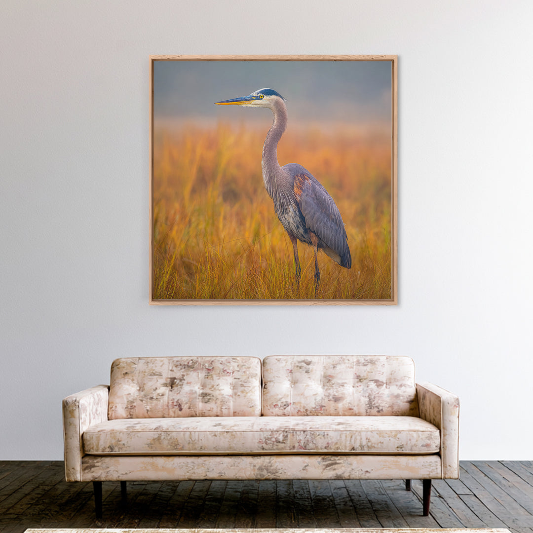 Blue Heron Standing Framed Canvas Print, Animal Art, Statement Artwork, Living Room Decor, Fine Art, Creature, Wall Decor, ANI-1x1-83