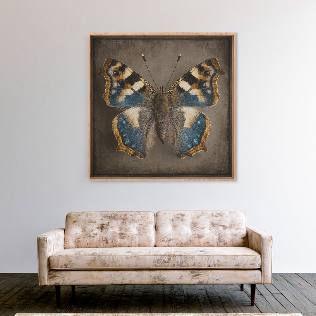 Butterfly Specimen Composition Canvas Print, Animal Art, Neutral Decor, Living Room Decor, Fine Art, Creature, Wall Art, ANI-1x1-95