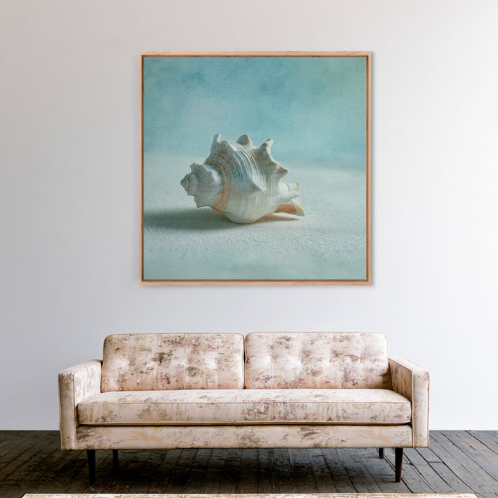 Minimal Seashell Still Life on Pale Sand Canvas Print, Bathroom Art, Custom Pet Portrait, Bathroom Decor, Abstract Art, Spa, BAT-1x1-3