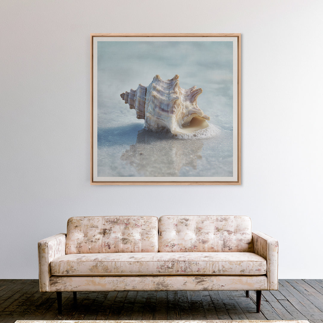 Minimal Seashell Still Life on Pale Sand Framed Canvas Print, Bathroom Art, Minimalist Wall Art, Bathroom Decor, Oil Painting, BAT-1x1-51
