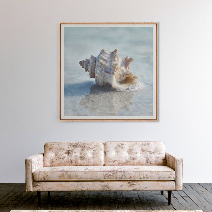 Minimal Seashell Still Life on Pale Sand Framed Canvas Print, Bathroom Art, Minimalist Wall Art, Bathroom Decor, Oil Painting, BAT-1x1-51
