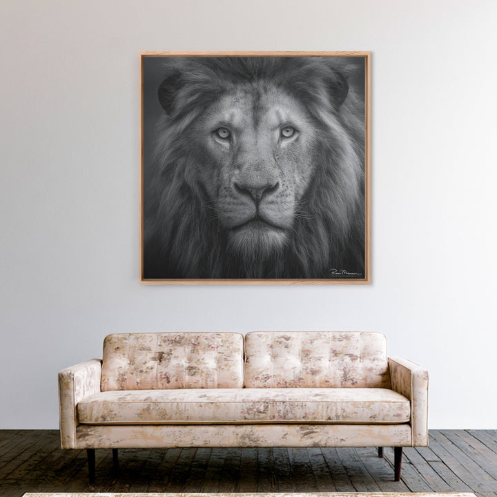 Dramatic Black and White Lion Portrait Canvas Print, Black and White Art, Gallery Decor, Living Room Decor, Monochrome, BAW-1x1-17