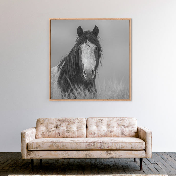 Black and White Wild Horse Portrait Canvas Print, Black and White Art, Fine Art Print, Living Room Decor, Oil Painting, BAW-1x1-5