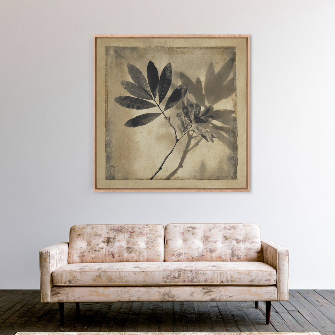 Black and White Botanical Specimen Plate Canvas Print, Black and White Art, Cabin Decor, Living Room Decor, Monochrome, BAW-1x1-71
