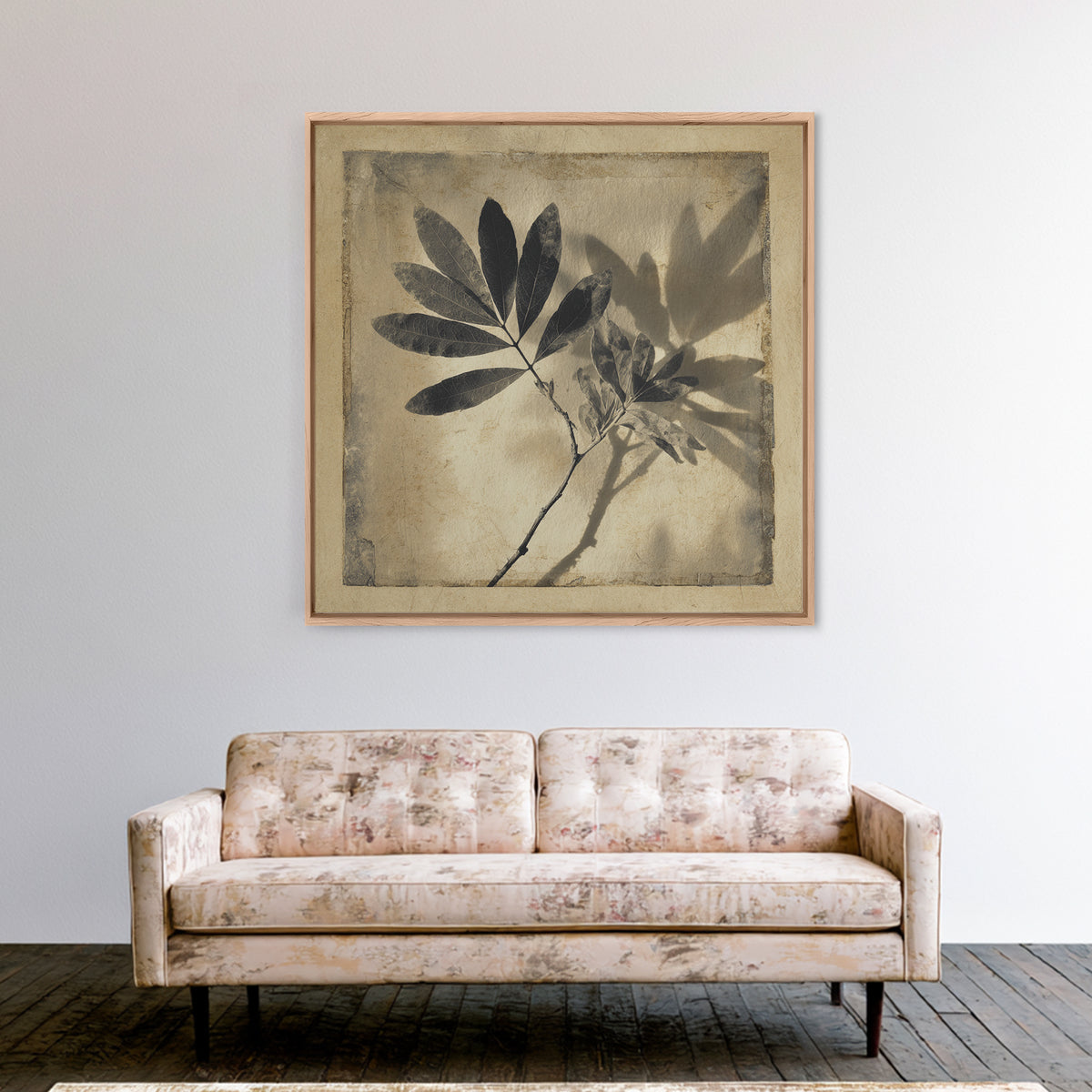 Black and White Botanical Specimen Plate Canvas Print, Black and White Art, Cabin Decor, Living Room Decor, Monochrome, BAW-1x1-71