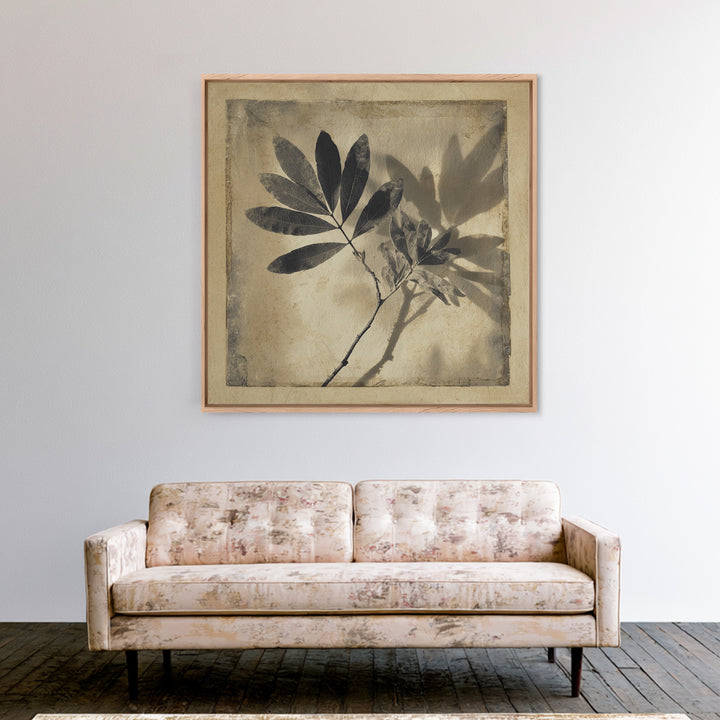 Black and White Botanical Specimen Plate Canvas Print, Black and White Art, Cabin Decor, Living Room Decor, Monochrome, BAW-1x1-71