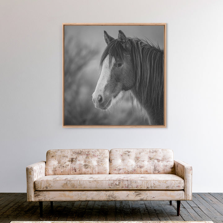 Black and White Wild Horse Portrait Canvas Print, Black and White Art, Art, Living Room Decor, Monochrome, Original Art, BAW-1x1-77