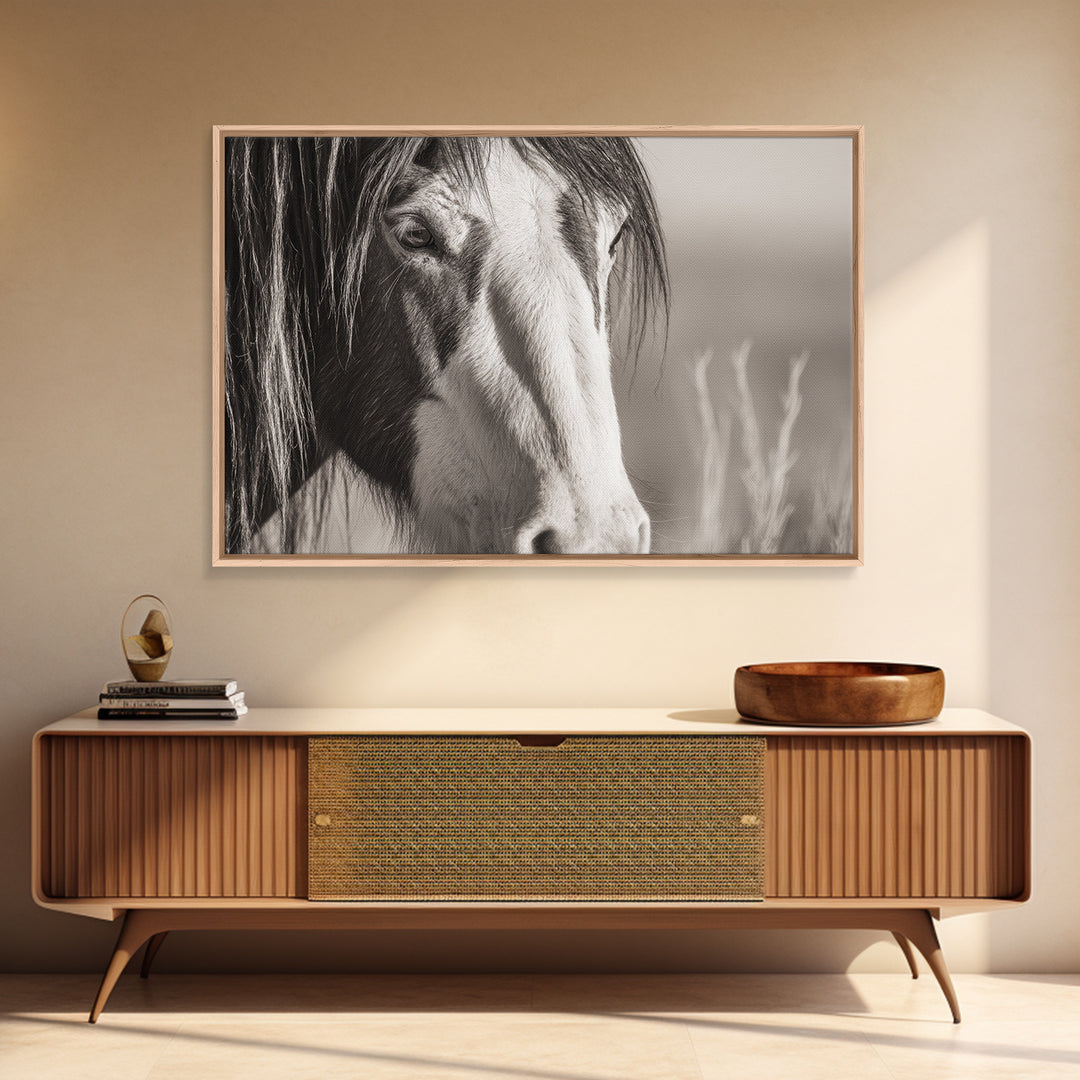 Black and White Wild Horse Portrait Canvas Print, Black and White Art, Fine Art Print, Living Room Decor, Monochrome, BAW-3x2-81