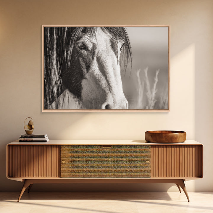 Black and White Wild Horse Portrait Canvas Print, Black and White Art, Fine Art Print, Living Room Decor, Monochrome, BAW-3x2-81