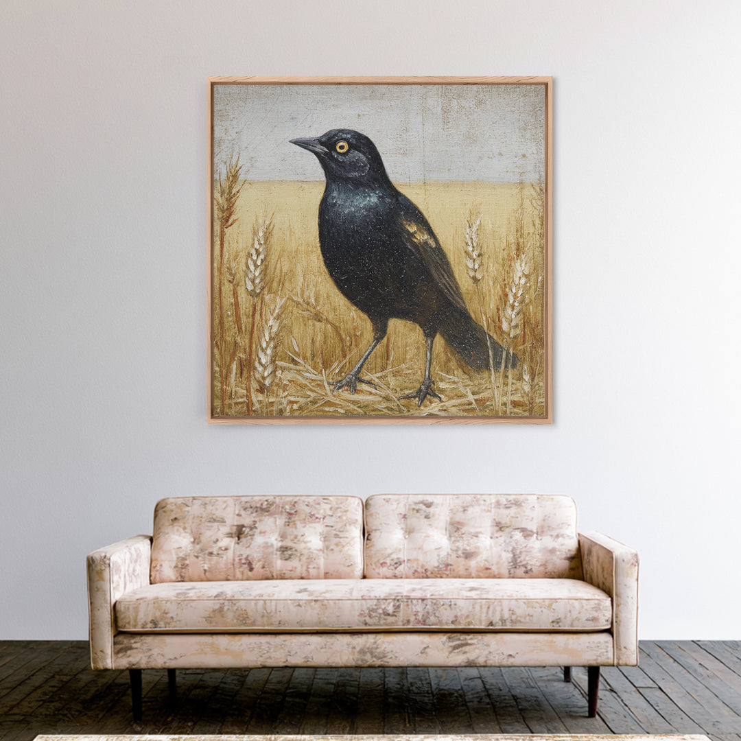 Blackbird on Gold Wheat Field Framed Canvas Print, Bird Art, Nature Prints, Living Room Decor, Watercolor Art, Flight, BIR-1x1-24