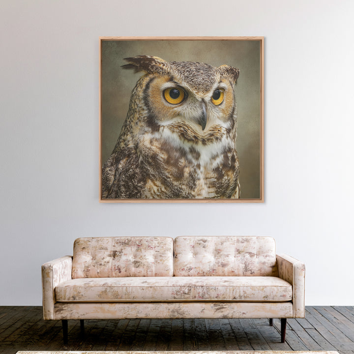 Owl Portrait with Wise Golden Eyes Framed Canvas Print, Bird Art, Fine Art Print, Living Room Decor, Fine Art, Flight, BIR-1x1-53