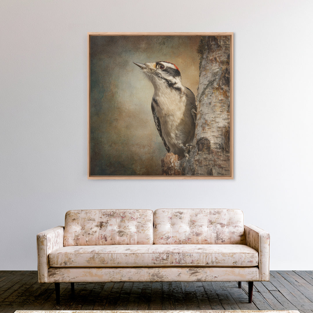 Woodpecker on Birch Bark Texture Framed Canvas Print, Bird Art, Luxury Decor, Living Room Decor, Oil Painting, Flight, BIR-1x1-93