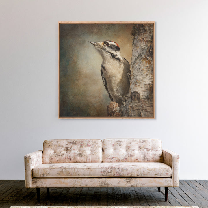 Woodpecker on Birch Bark Texture Framed Canvas Print, Bird Art, Luxury Decor, Living Room Decor, Oil Painting, Flight, BIR-1x1-93