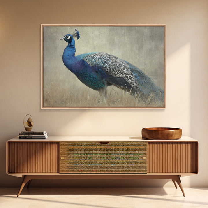 Peacock with Jewel Tone Feather Pattern Framed Canvas Print, Bird Art, Art Print, Living Room Decor, Oil Painting, Flight, BIR-3x2-59