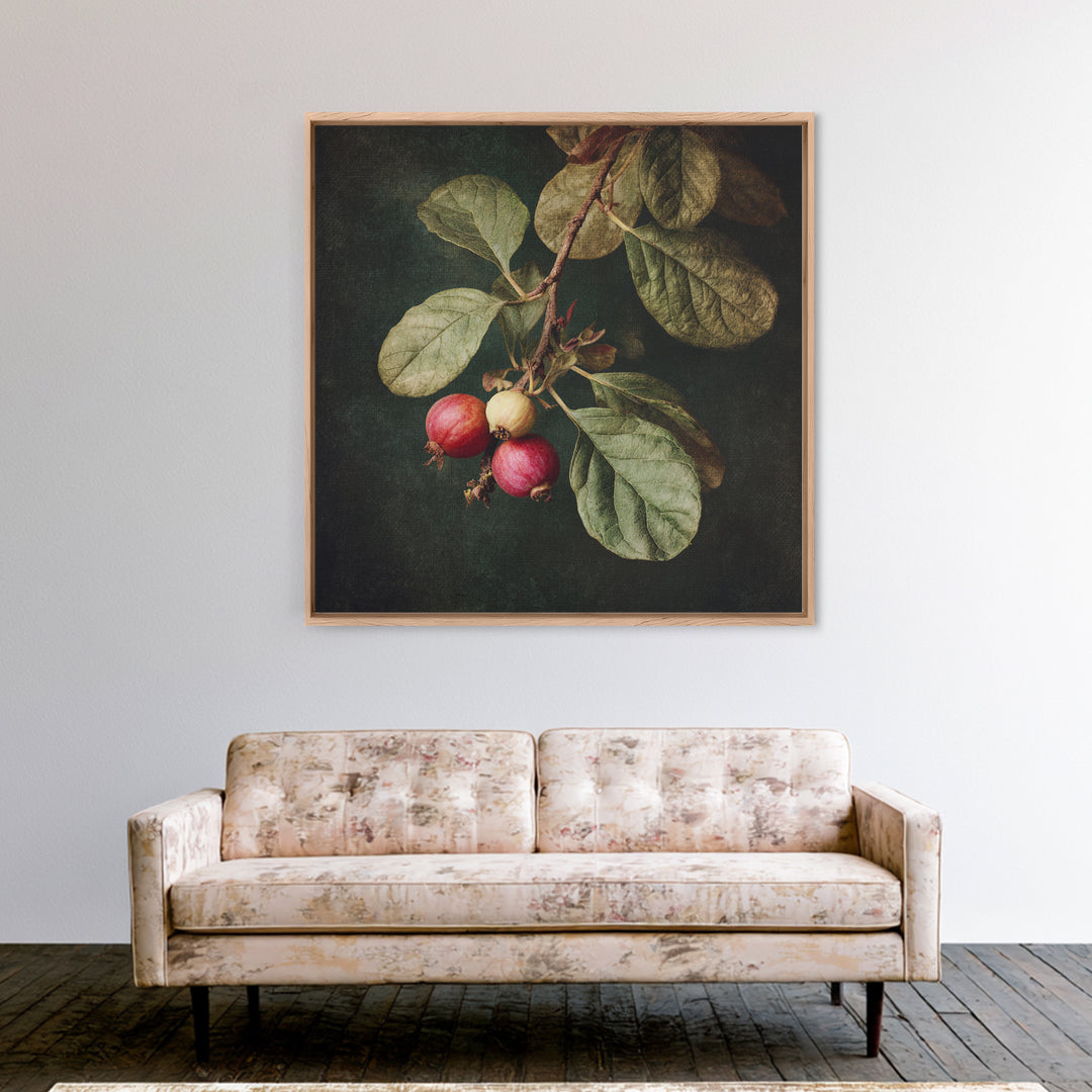 Fig Branch with Fruit and Broad Leaves Framed Canvas Print, Botanical Art, Neutral Decor, Living Room Decor, Oil Painting, BOT-1x1-63