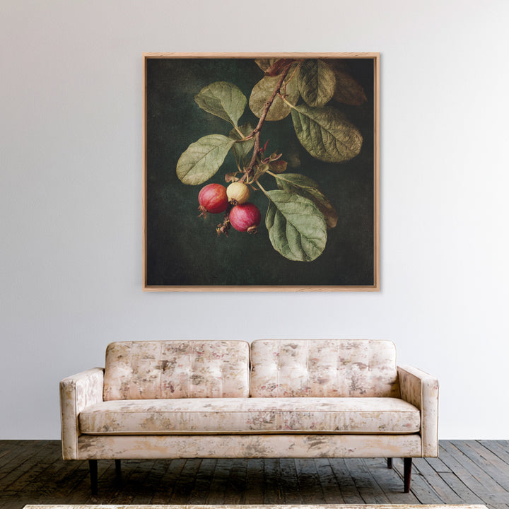 Fig Branch with Fruit and Broad Leaves Framed Canvas Print, Botanical Art, Neutral Decor, Living Room Decor, Oil Painting, BOT-1x1-63