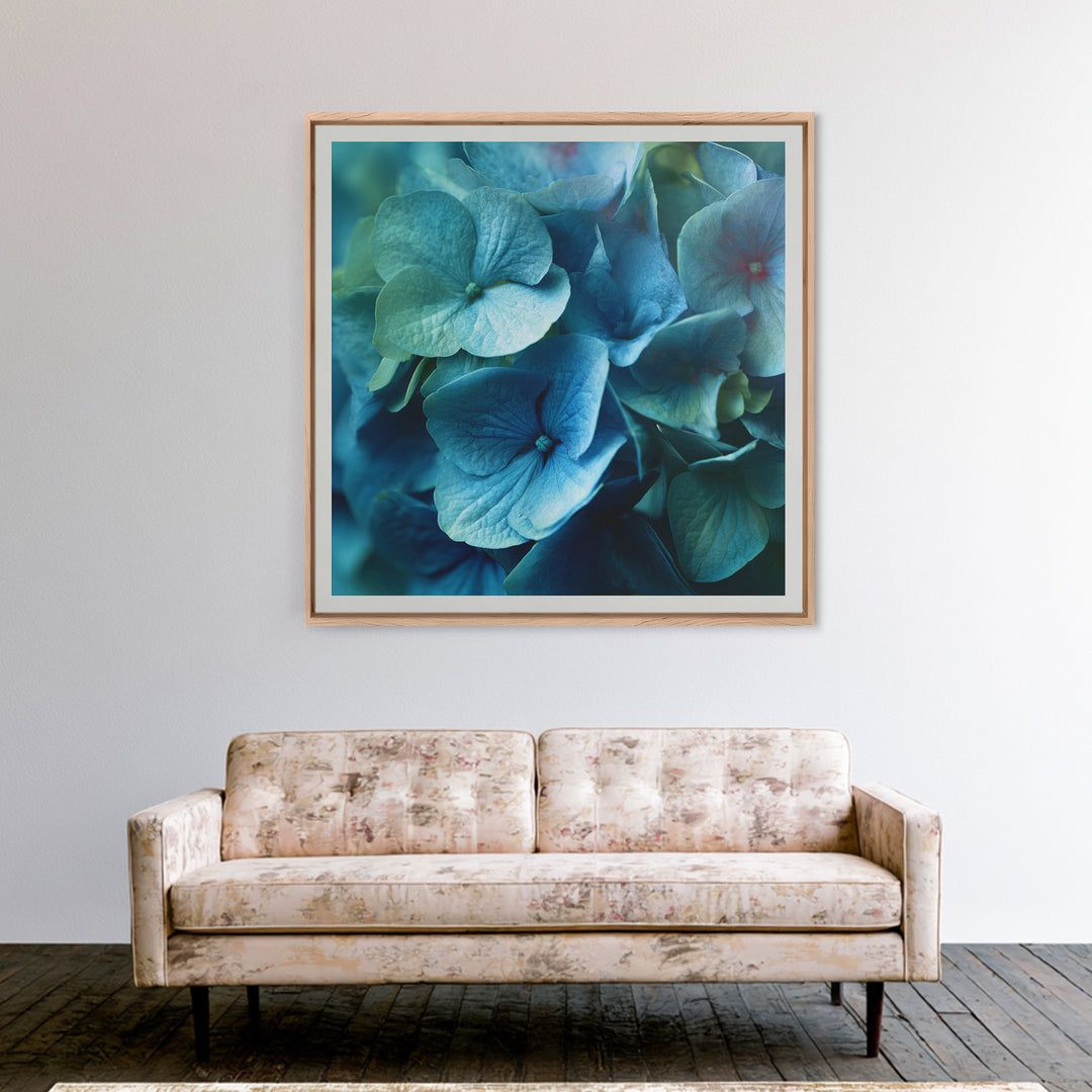 Blue Hydrangea Cluster Framed Canvas Print, Botanical Art, Modern Wall Art, Living Room Decor, Fine Art, Botanic, BOT-1x1-66