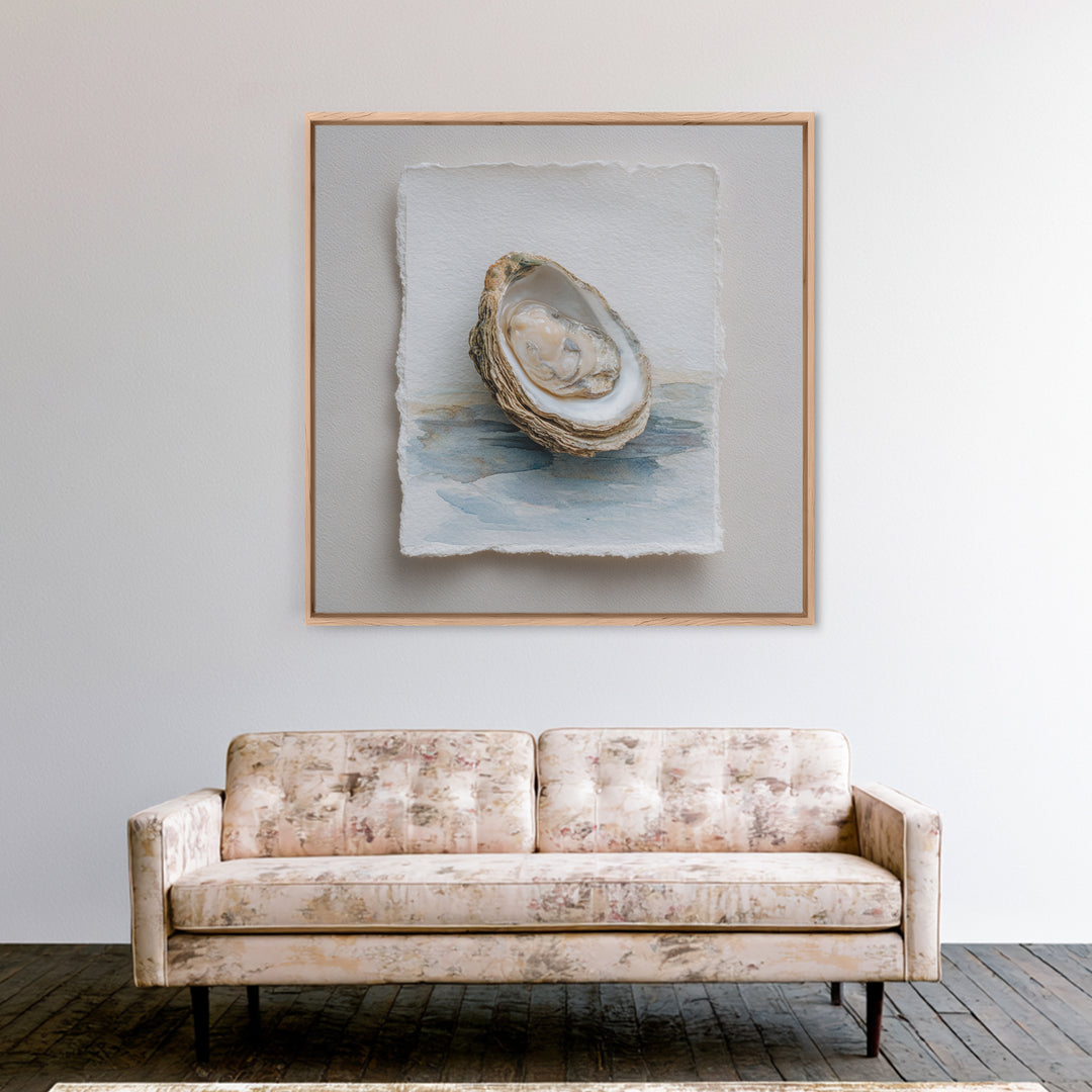 Oyster Shell Study Framed Canvas Print, Coastal Art, Beach Art, Coastal Decor, Oil Painting, Coastal, Room Decor, COA-1x1-51
