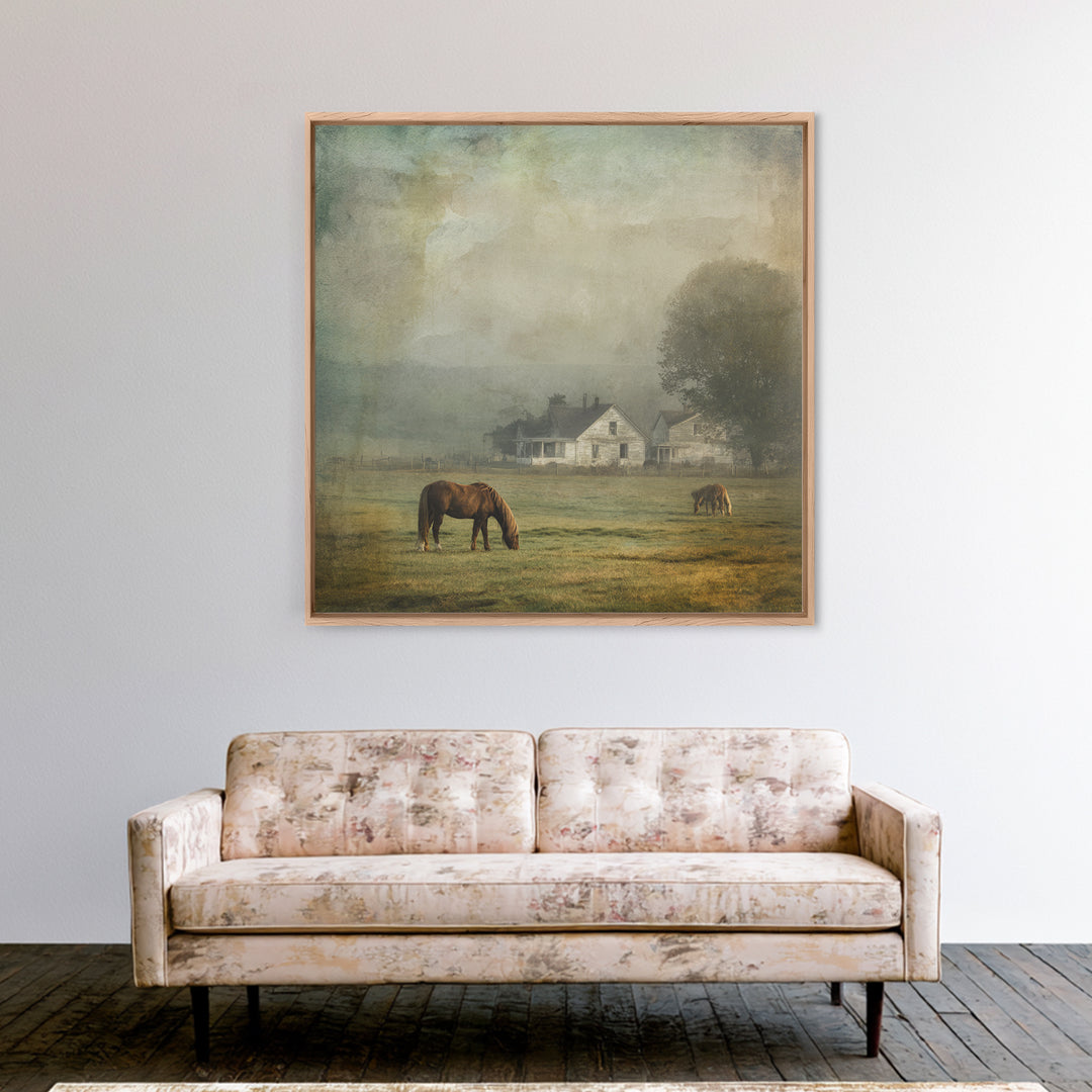 Rolling Pasture with Grazing Horses at Sunrise Framed Canvas Print, Country Art, Farmhouse Wall Art, Farmhouse Decor, Country, COU-1x1-1