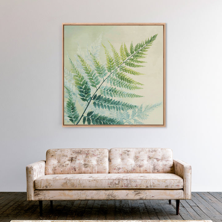 Botanical Fern Study Framed Canvas Print, Dental Office Art, Dental Hygiene, Office Decor, Fine Art, Calm, Medical Office Art, DOA-1x1-43