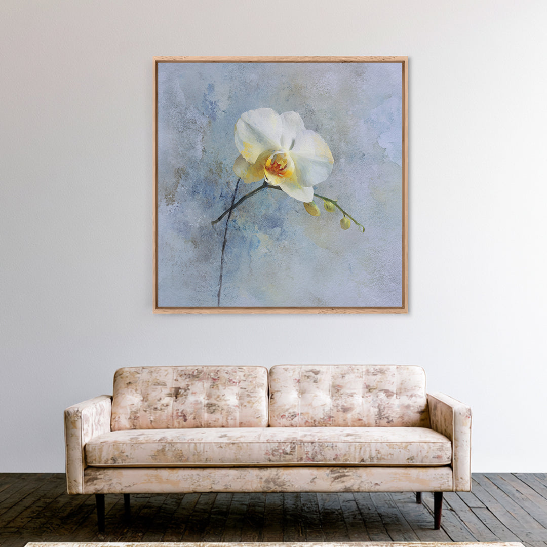 White Orchid on Stone Background Framed Canvas Print, Dental Office Art, Dental Gift, Office Decor, Abstract Art, Calm, DOA-1x1-84