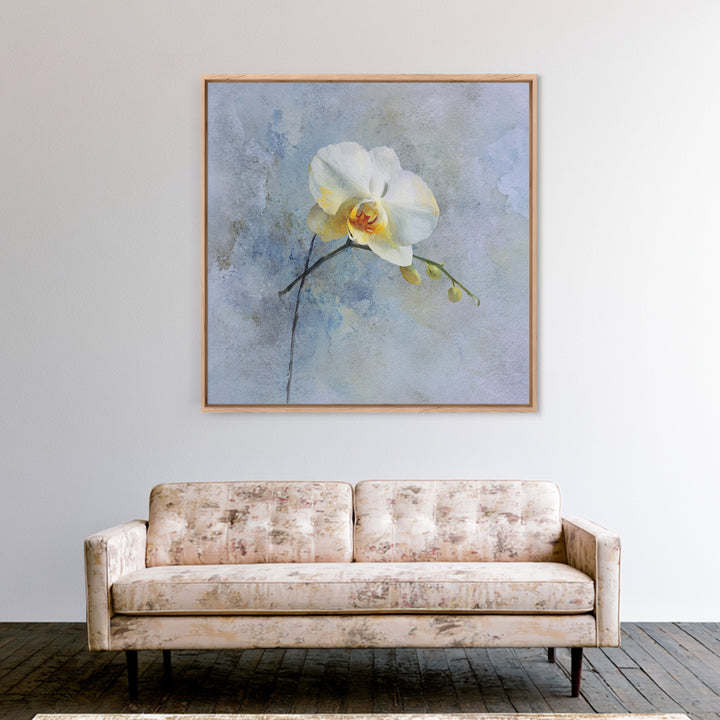 White Orchid on Stone Background Framed Canvas Print, Dental Office Art, Dental Gift, Office Decor, Abstract Art, Calm, DOA-1x1-84