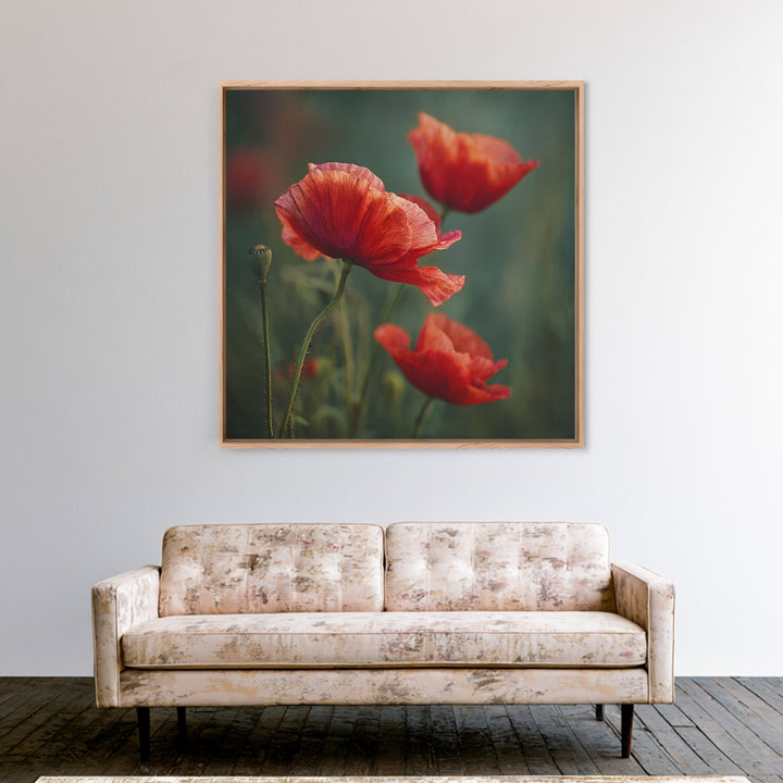 Poppy Field with Red Petals and Green Framed Canvas Print, Floral Art, Gallery Decor, Living Room Decor, Fine Art, Bloom, FLO-1x1-32