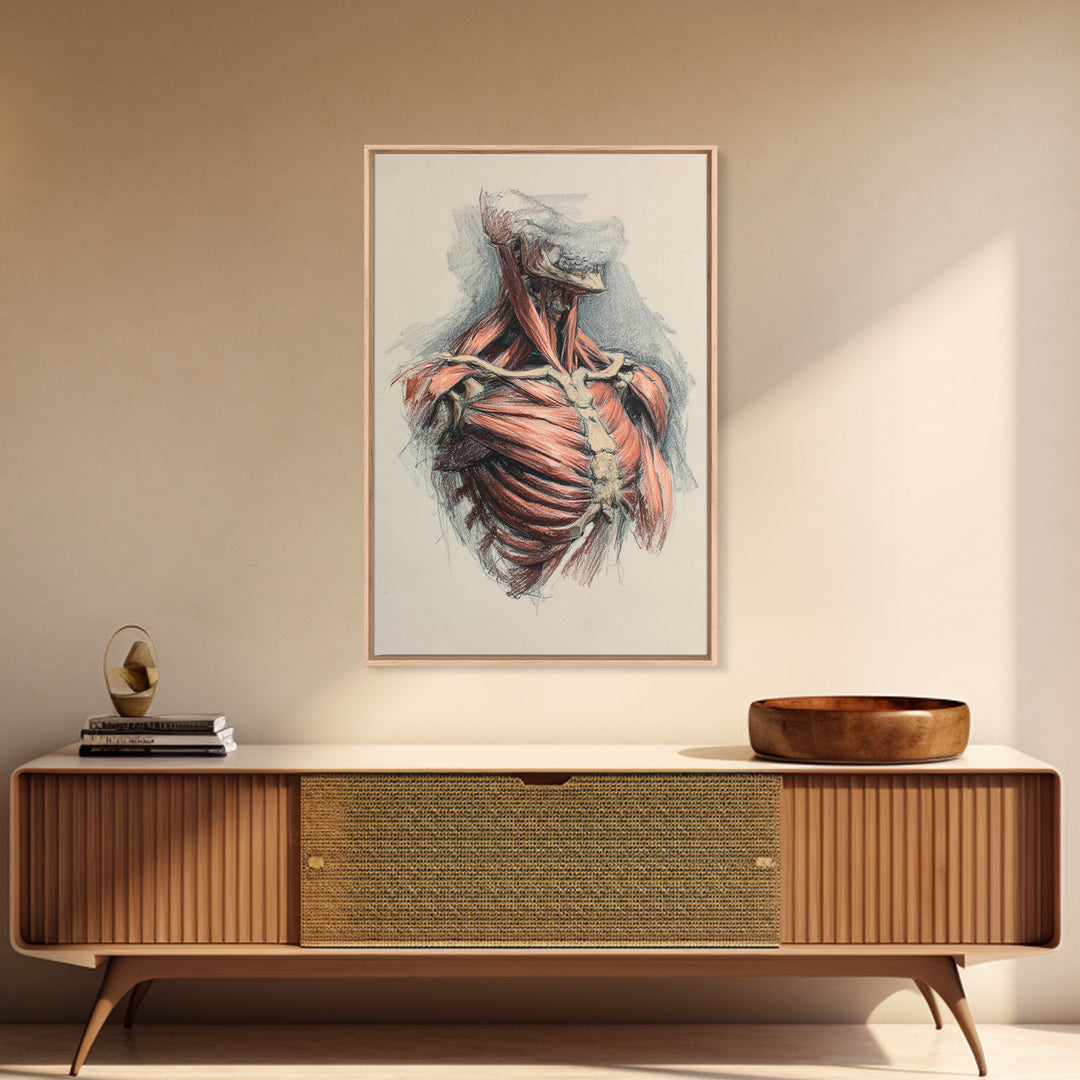 Anatomical Muscle Study Framed Canvas Print, Fitness Studio Art, Modern Decor, Gym Decor, Abstract Art, Motion, FSA-2x3-17