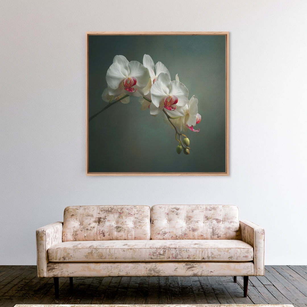 White Orchids Against Warm Gray Background Framed Canvas Print, Master Bedroom, Bedroom Decor, Abstract Art, Sanctuary, MAS-1x1-57