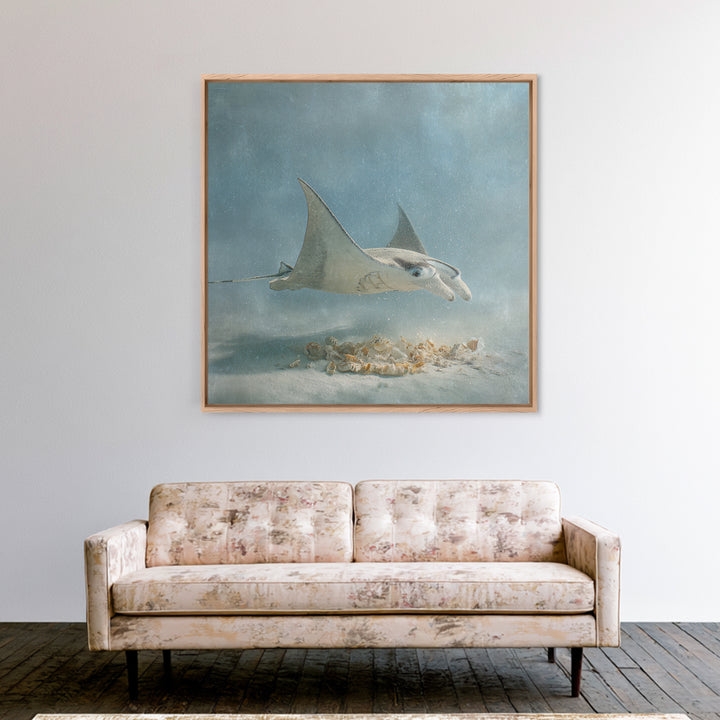 Manta Ray Flying Through Underwater Light Framed Canvas Print, Marine Life Art, Ocean Prints, Living Room Decor, Marine, MLA-1x1-38