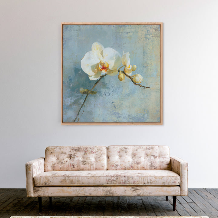 White Orchid on Gray Stone Surface Framed Canvas Print, Medical Office Art, Medical Wall Art, Office Decor, Fine Art, Calm, MOA-1x1-6