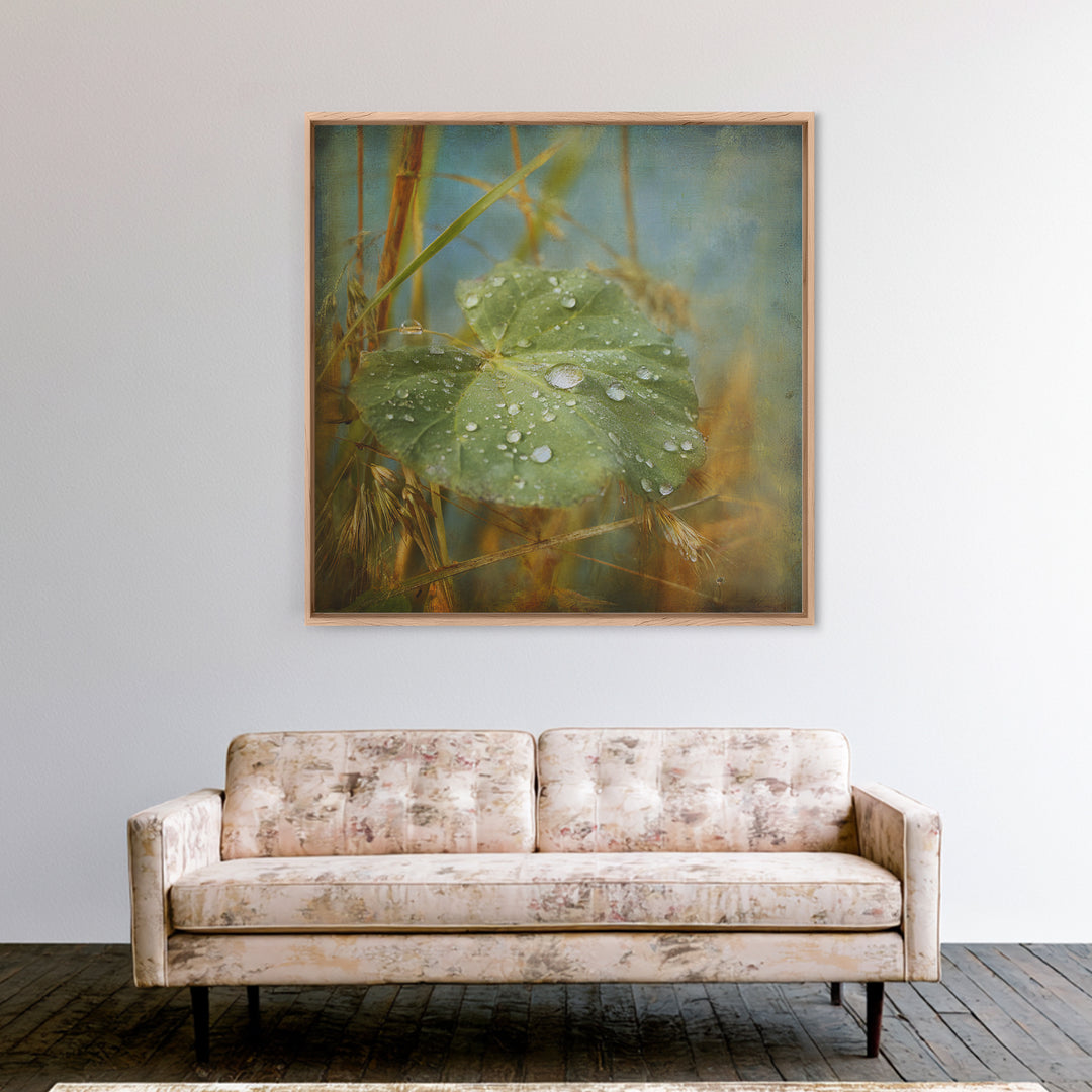 Rain Drops on a Large Green Leaf Framed Canvas Print, Nature Art, Statement Artwork, Living Room Decor, Fine Art, Nature, NAT-1x1-57