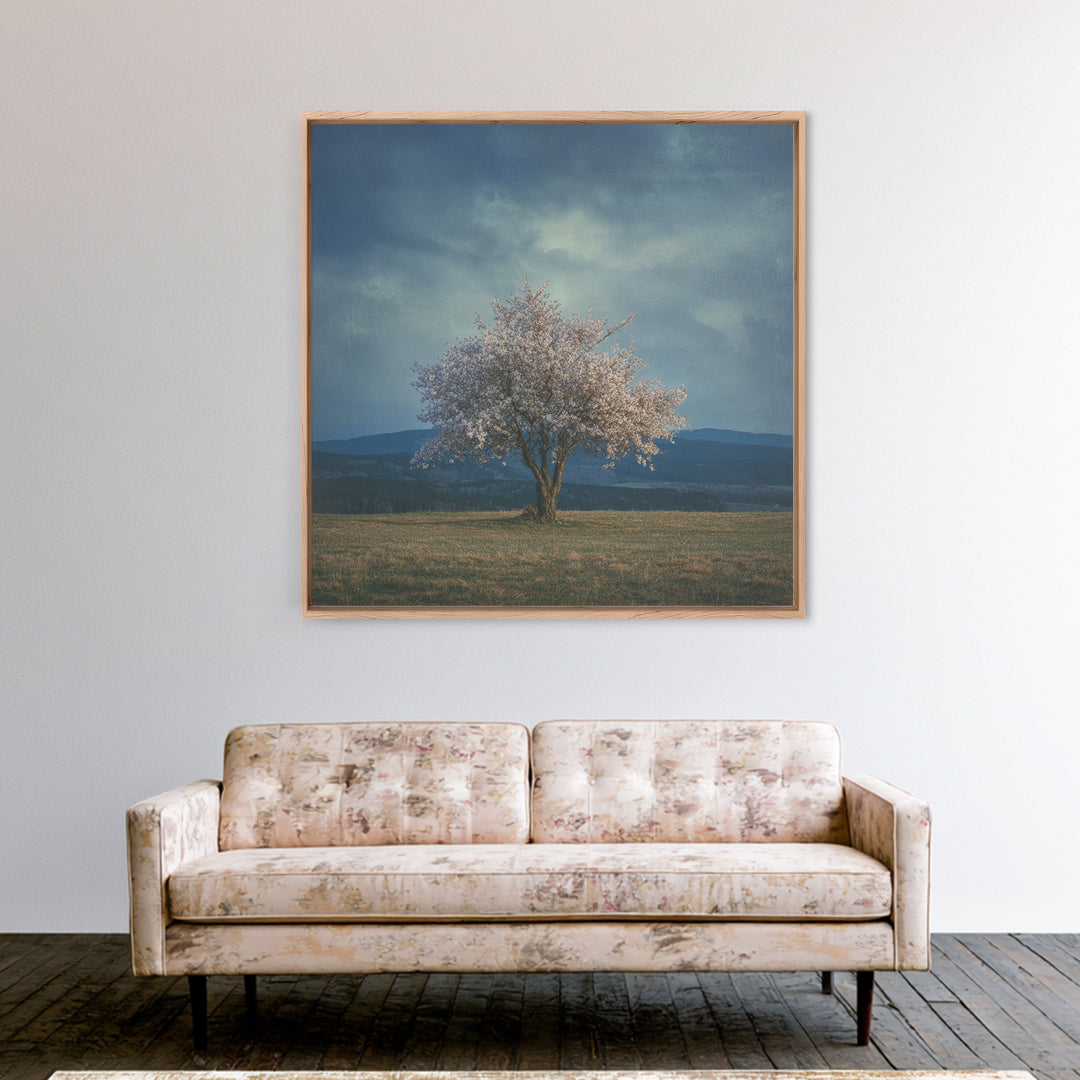 Spring Cherry Blossoms Framed Canvas Print, Nature Art, Modern Wall Art, Living Room Decor, Fine Art, Nature, Mountain Art, NAT-1x1-64