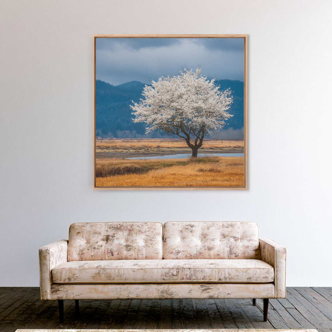 Spring Cherry Blossoms Framed Canvas Print, Nature Art, Textured Painting, Living Room Decor, Fine Art, Nature, NAT-1x1-88