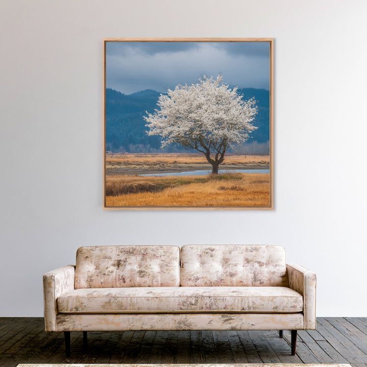Spring Cherry Blossoms Framed Canvas Print, Nature Art, Textured Painting, Living Room Decor, Fine Art, Nature, NAT-1x1-88
