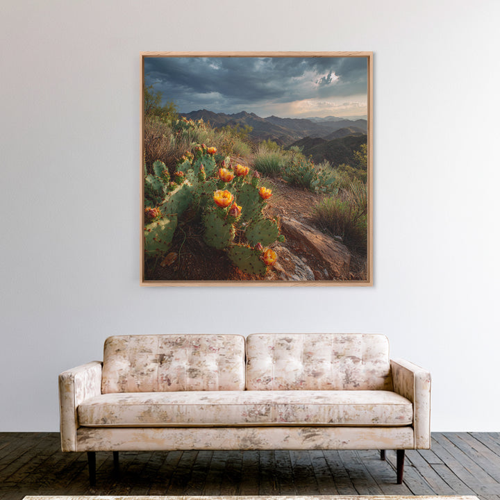 Desert Cactus Blooming After Rain Canvas Print, Nature Art, Nature Wall Art, Living Room Decor, Fine Art, Nature, NAT-1x1-92