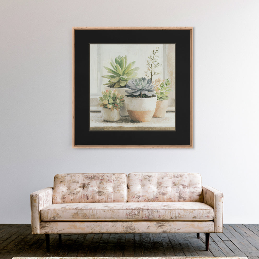 Succulent Collection in Ceramic Planters Framed Canvas Print, Patio Art, Mixed Media Art, Patio Decor, Fine Art, Outdoor, PAT-1x1-21