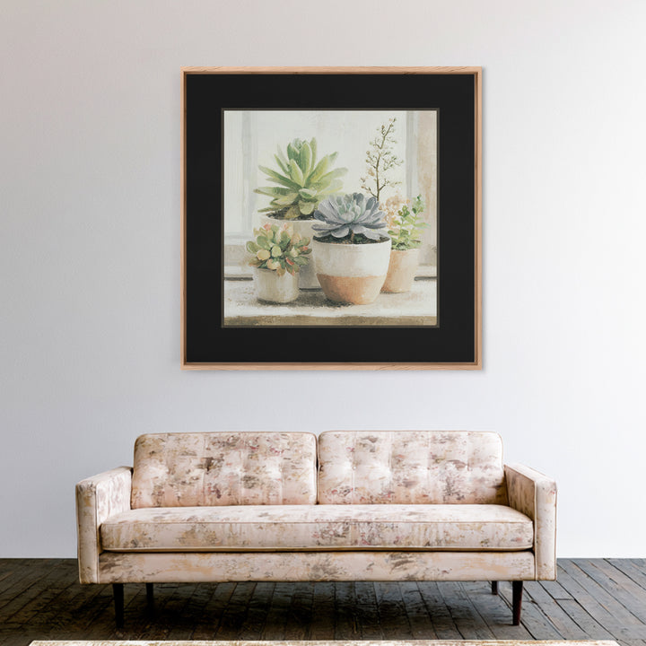 Succulent Collection in Ceramic Planters Framed Canvas Print, Patio Art, Mixed Media Art, Patio Decor, Fine Art, Outdoor, PAT-1x1-21