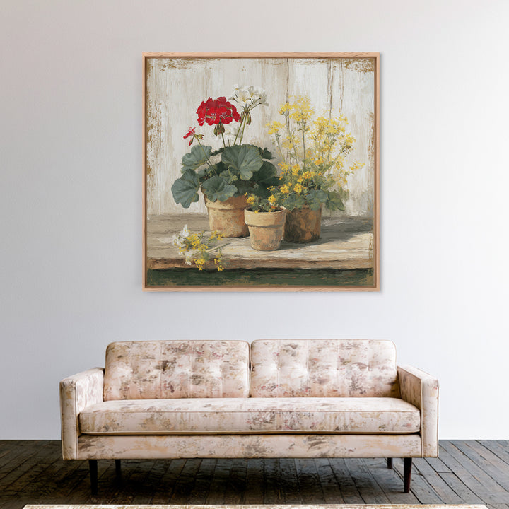 Potted Geraniums in Rustic Clay Pots Framed Canvas Print, Patio Art, Family Wall Art, Patio Decor, Fine Art, Outdoor, PAT-1x1-38