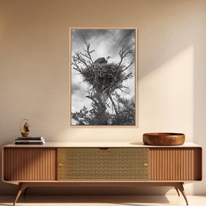 Bald Eagle, bird art, nature photography, moody art, rustic decor, patriotic wall art, black and white, framed canvas print, wildlife art